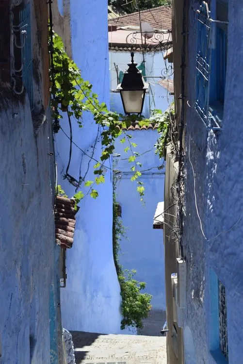 A view of the blue washed streets of Chefchaouen, Morocco