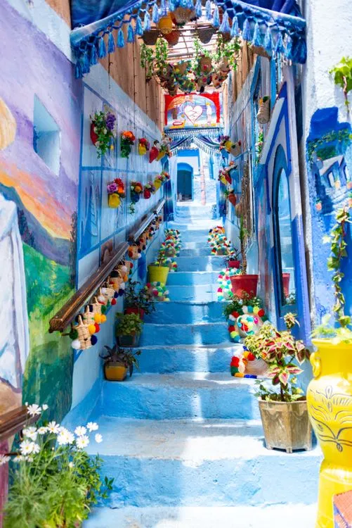 Potted plants on the blue steps of Chefchaouen