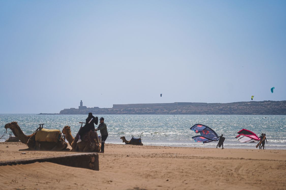 Essaouira Weather & Beach Guide: When is the Best Time to Visit?