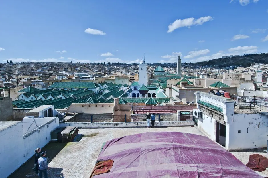 Overview of Fes el-Bali medina and rooftops