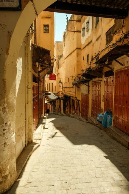 Fes Medina Guide: Navigate the World's Oldest Car-Free City
