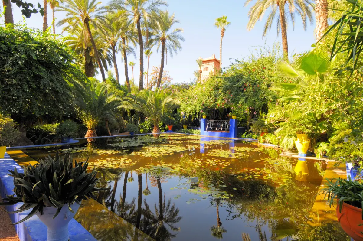 The iconic cobalt blue villa at Jardin Majorelle