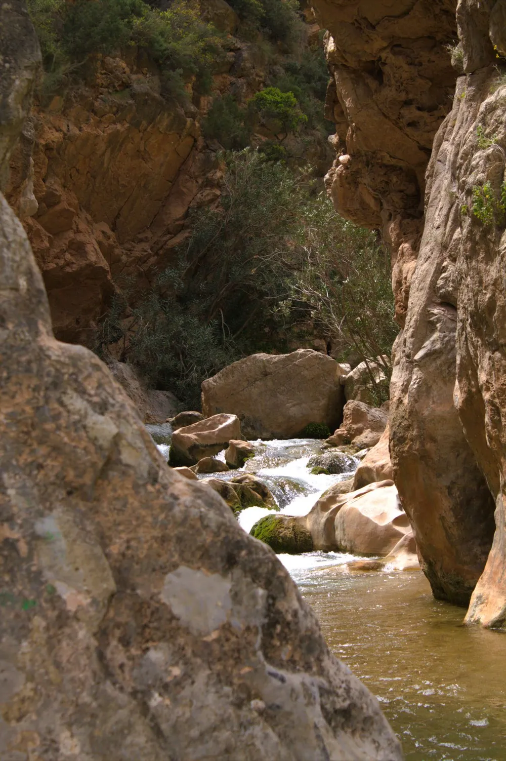 Paradise Valley Agadir natural limestone pools and palm trees
