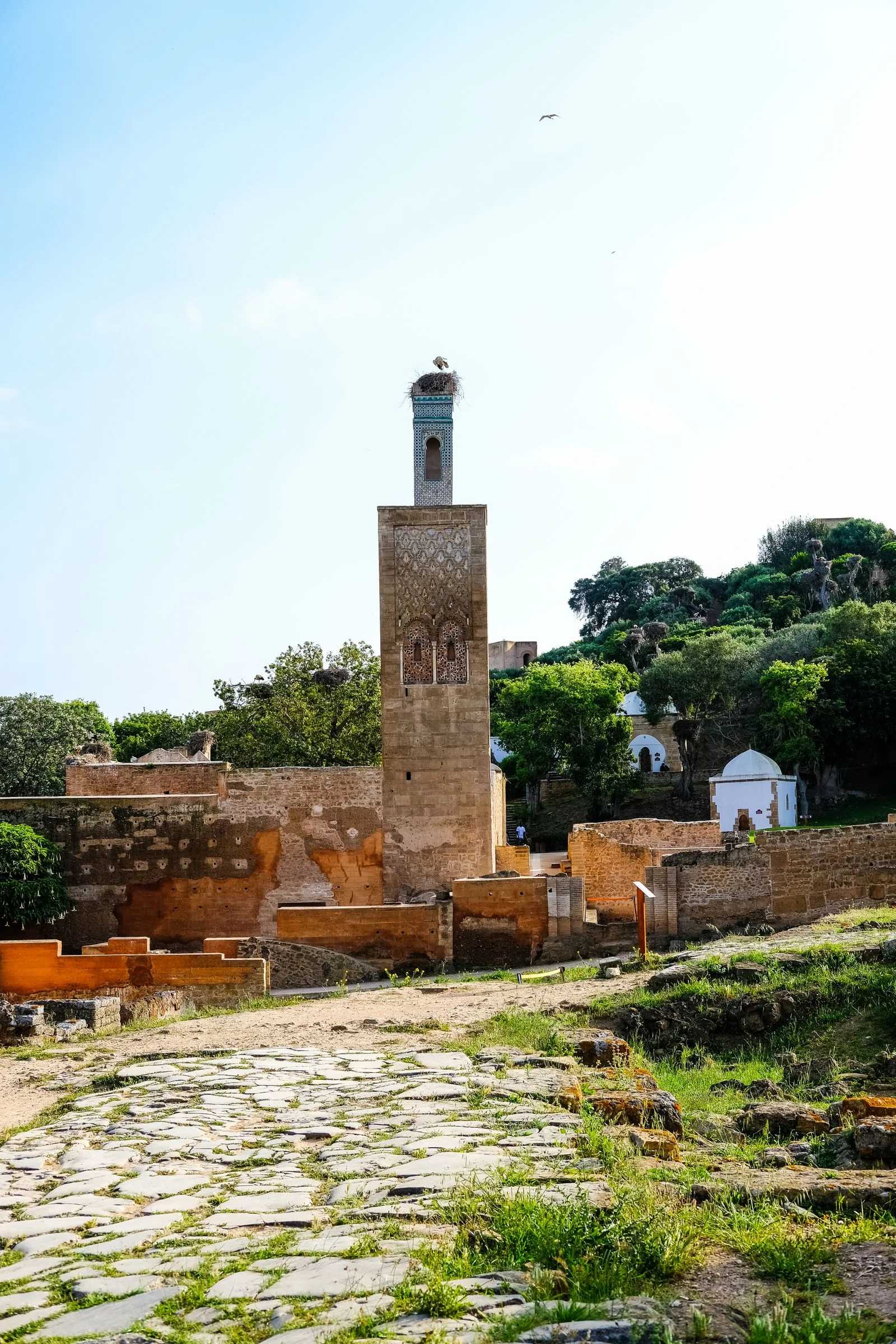 The historic minaret of Chellah Necropolis in Rabat surrounded by lush greenery