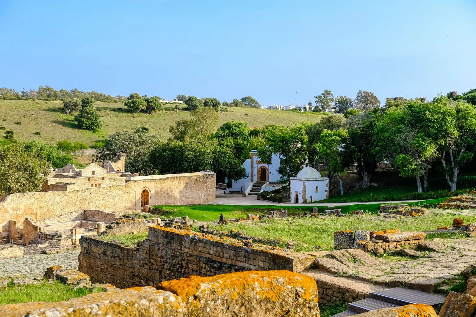 Ancient Roman ruins and green landscape at Chellah in Rabat