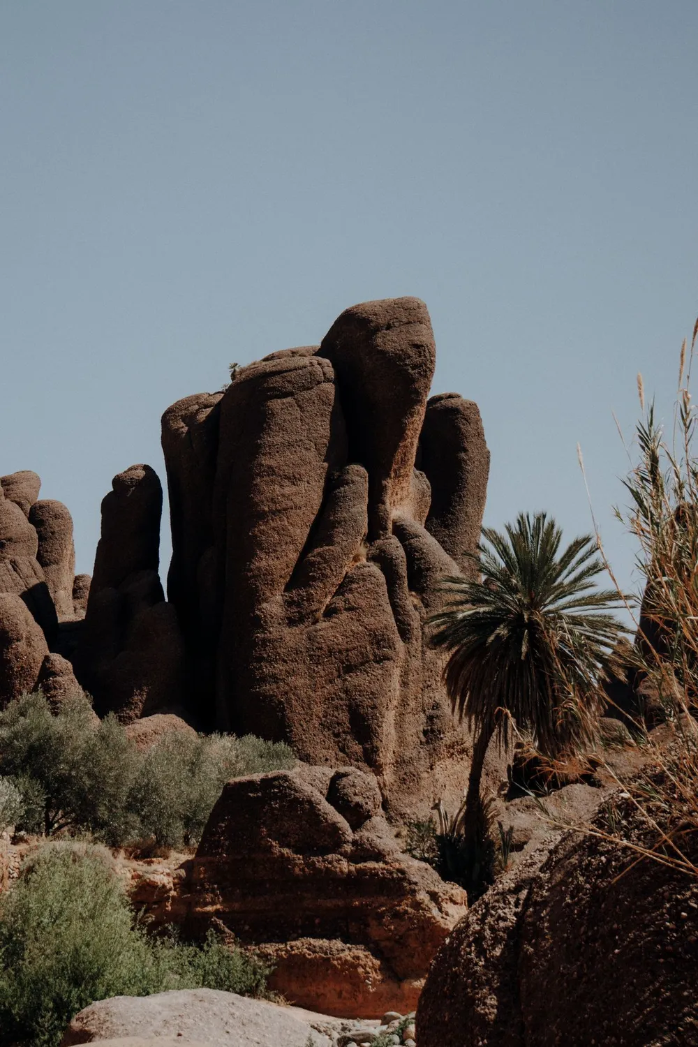 Souss-Massa Landscapes